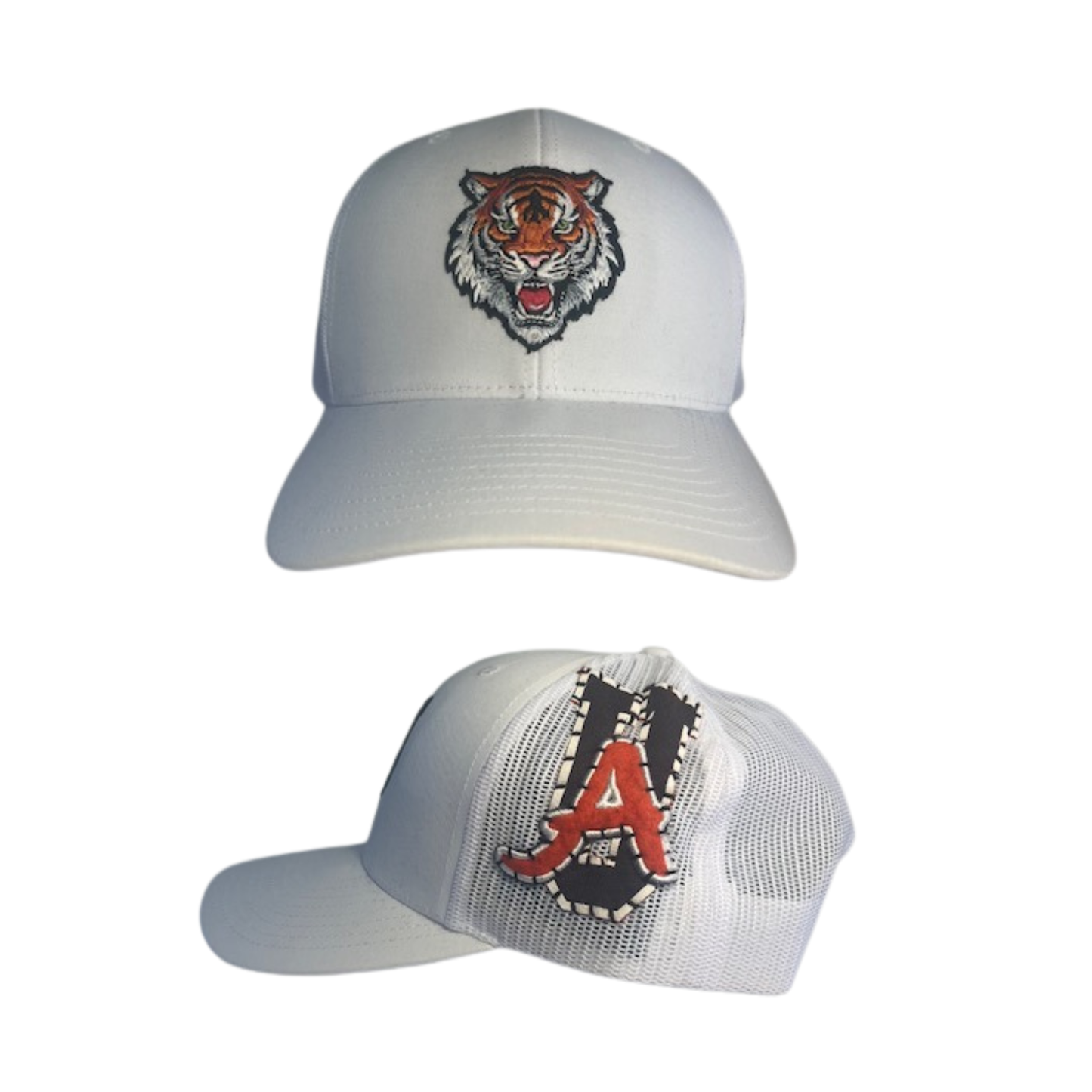 Auburn Tigers