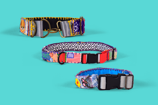 Personalized Collar