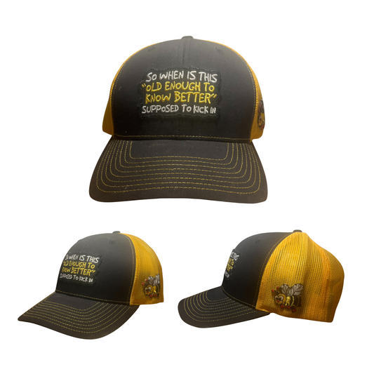 "So When Is This Old Enough To Know Better Supposed To Kick In"